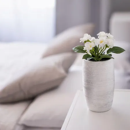 게스트하우스 Homer 4*