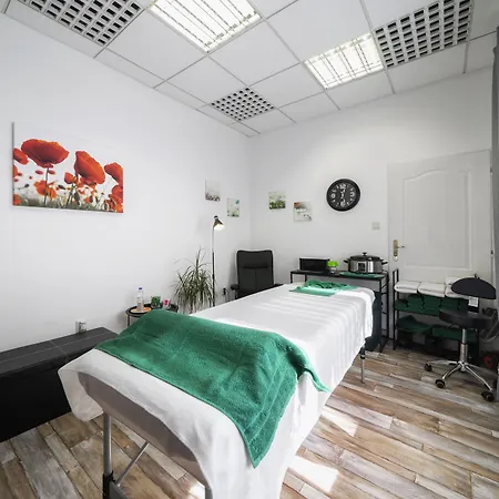 Homer 波杰布拉迪