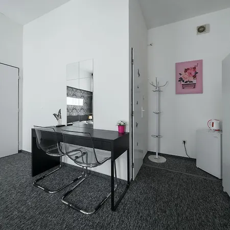 Homer 招待所 波杰布拉迪