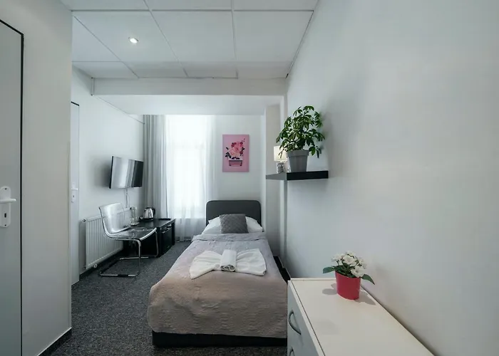 Homer 게스트하우스