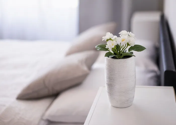 게스트하우스 Homer 4*