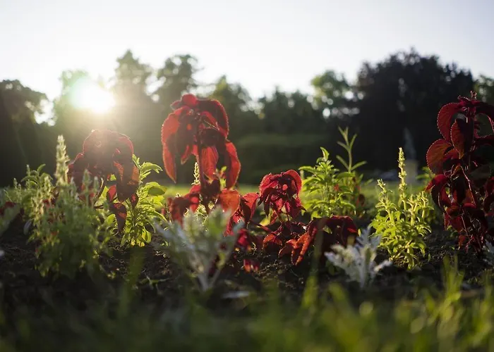 게스트하우스 Homer 4*