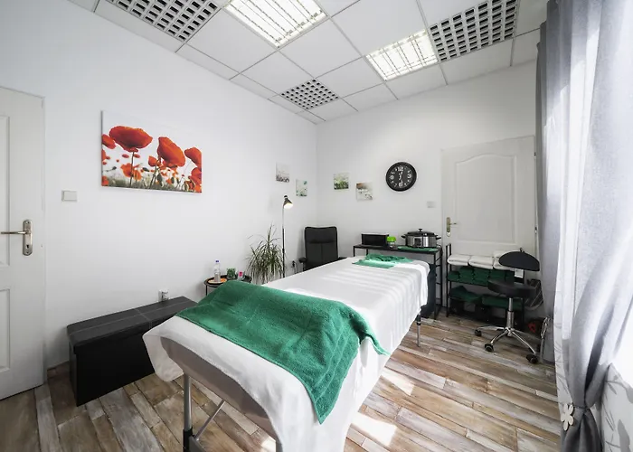 Homer 포데브라디